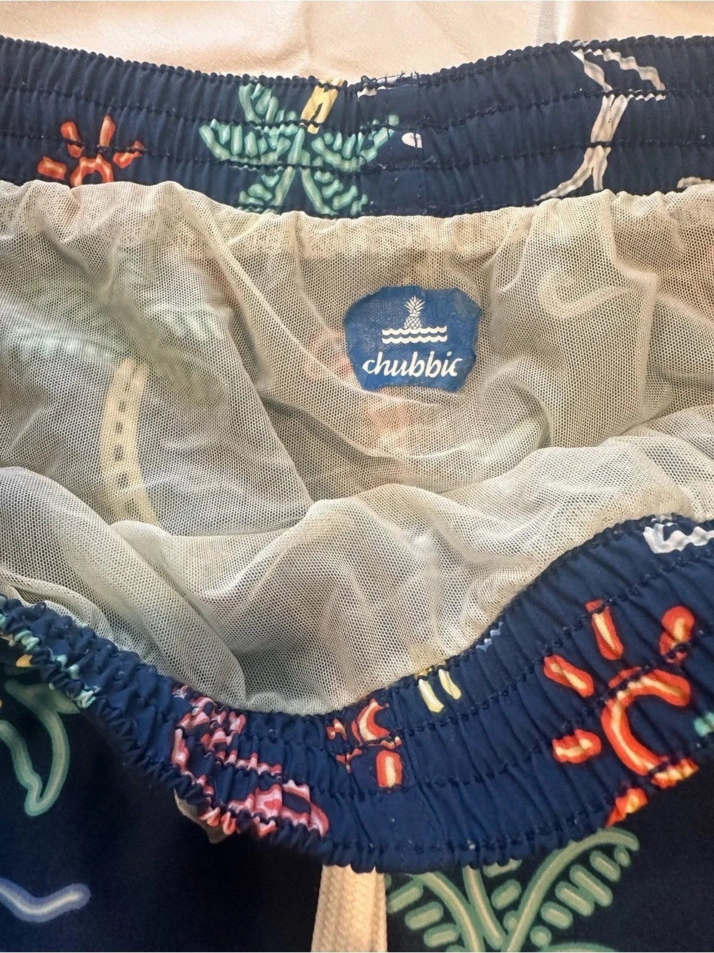 chubbies men swim